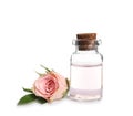 Bottle of rose essential oil and flower isolated Royalty Free Stock Photo