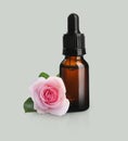 Bottle of rose essential oil and flower on light background Royalty Free Stock Photo