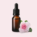 Bottle of rose essential oil and flower on light background Royalty Free Stock Photo