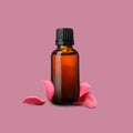 Bottle of rose essential oil and flower petals on dusty pink background Royalty Free Stock Photo