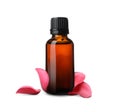 Bottle of rose essential oil and flower petals on white background Royalty Free Stock Photo