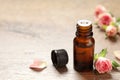 Bottle of rose essential oil and fresh flowers on wooden table Royalty Free Stock Photo