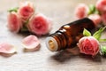 Bottle of rose essential oil and fresh flowers on wooden table, closeup Royalty Free Stock Photo