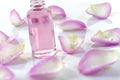 A bottle of rose essential oil with rose petals on white background Royalty Free Stock Photo