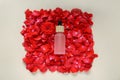 Bottle of rose essential oil and red flower petals on beige background, top view Royalty Free Stock Photo