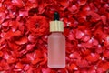 Bottle of rose essential oil on red flower petals, top view Royalty Free Stock Photo