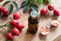 A bottle of rose hip seed oil on a wooden table Royalty Free Stock Photo