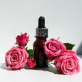 A bottle of rose oil with fresh flowers on a white background. Rose oil. Royalty Free Stock Photo