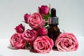 A bottle of rose oil with fresh flowers on a white background. Rose oil.