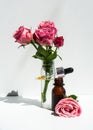 A bottle of rose oil with fresh flowers on a white background. Rose oil. Royalty Free Stock Photo