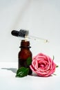 A bottle of rose oil with fresh flowers on a white background. Rose oil. Royalty Free Stock Photo