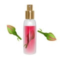 Bottle of rose oil on white background, glass vial with professional facial serum on red rose background, realistic Vector