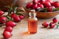 A bottle of rosehip seed oil with fresh rosehips Royalty Free Stock Photo