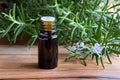 A bottle of rosemary essential oil with blooming rosemary twigs Royalty Free Stock Photo