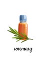 A bottle of rosemary essential oil with a sprig of rosemary.