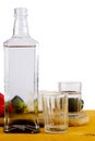 Bottle of Russian vodka and glasses Royalty Free Stock Photo
