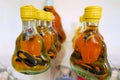 Bottle's of famous scorpion liquor