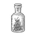 Bottle with saffron dry threads. Vintage vector engraving illustration. Isolated
