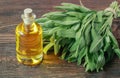 Bottle of sage oil and sage leaves Royalty Free Stock Photo