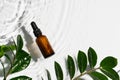 Bottle serum cosmetic in clean transparent water with green leaf sunlight on white background Royalty Free Stock Photo