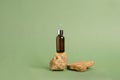 A bottle of serum oil cosmetic on an abstract podium made of natural materials stones plants green pastel background. Royalty Free Stock Photo