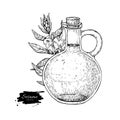 Bottle of sesame oil with plant. Vector Hand drawn illustration. Royalty Free Stock Photo