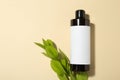 Bottle of shampoo and green branch on beige background, flat lay. Space for text Royalty Free Stock Photo
