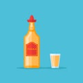 Bottle and shot glass of tequila. Flat style vector illustration. Royalty Free Stock Photo