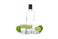 Bottle and shots of vodka, lime and ice isolated on white background
