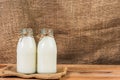 A bottle of soy milk natural nutrition drink Royalty Free Stock Photo