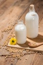 A bottle of soy milk or soya milk and soy beans on wooden table. Royalty Free Stock Photo