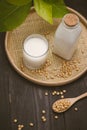 Bottle of soy milk and soybean on wooden table Royalty Free Stock Photo