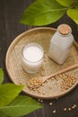 Bottle of soy milk and soybean on wooden table Royalty Free Stock Photo