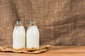 Bottle of soy milks Royalty Free Stock Photo