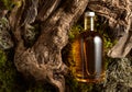 Bottle of strong alcoholic drink, old snags, and moss Royalty Free Stock Photo