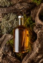 Bottle of strong alcoholic drink, old snags, and moss Royalty Free Stock Photo