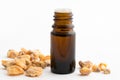 A bottle of styrax benzoin essential oil with benzoin resin Royalty Free Stock Photo