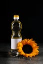 Bottle of sunflower cooking oil, seeds and beautiful flower on grey table against black background Royalty Free Stock Photo