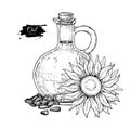 Bottle of sunflower oil with flower and heap of seed. Vector Hand drawn illustration. Glass pitcher Royalty Free Stock Photo