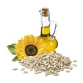 Bottle of sunflower oil, flower with leaf and peeled seeds isolated on white background Royalty Free Stock Photo