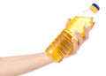 A bottle sunflower oil in hand