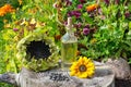 Sunflower oil in a glass Bottle and sunflowers on an stump Royalty Free Stock Photo