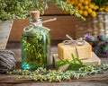 Bottle of tarragon tincture, healthy herbs and bars of soap Royalty Free Stock Photo