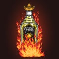 Bottle tequila colorful detailed poster