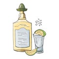 A bottle of tequila and a glass of lime isolated on white. Hand drawn mexican tequila set