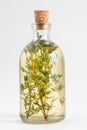 Bottle of thyme essential oil or infusion Royalty Free Stock Photo