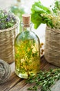 Bottle of thyme essential oil or infusion and herbs