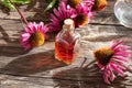 A bottle of tincture with fresh echinacea flowers Royalty Free Stock Photo