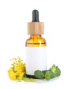Bottle of tincture, mint and goldenrods flowers isolated on white Royalty Free Stock Photo