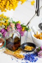 Bottle of tincture or potion, mortar, healthy herbs and scales on table.